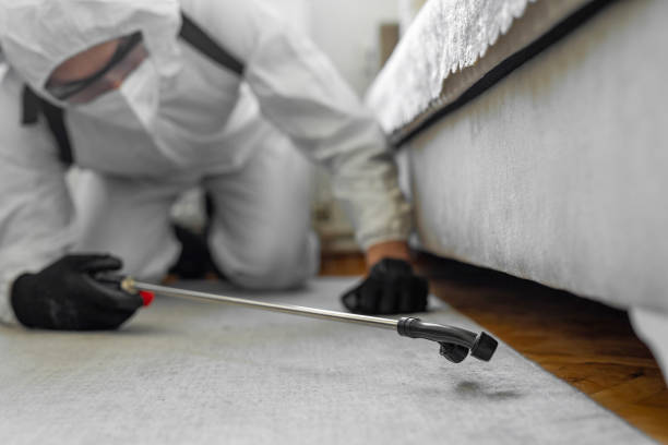 Professional Termite Control technician working in Manly, IA