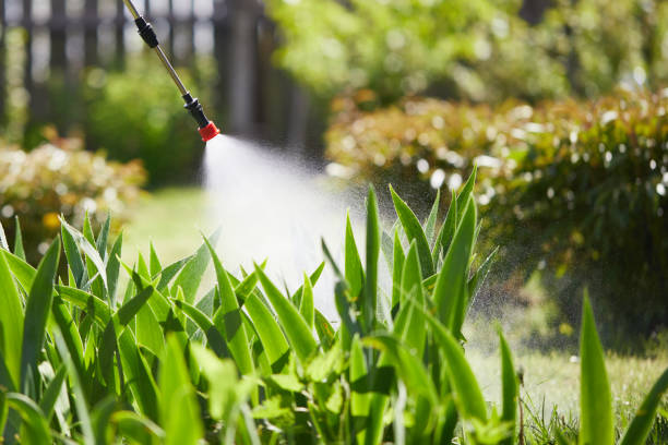 24/7 Emergency Termite Control experts in Manly, IA